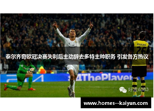 泰尔齐奇欧冠决赛失利后主动辞去多特主帅职务 引发各方热议